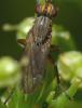 223898 – Photo : Philippe Legros – France (94)